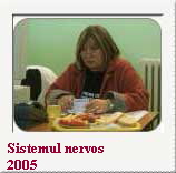 Sistemul nervos
  2005